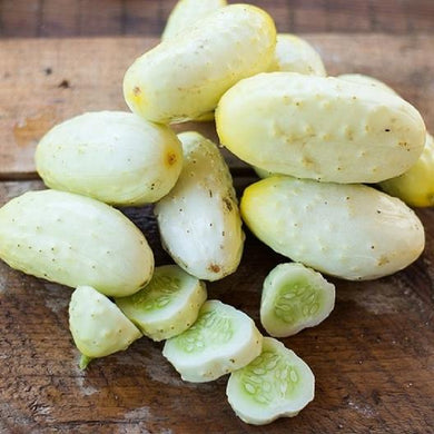 Miniature White Pickle Cucumber