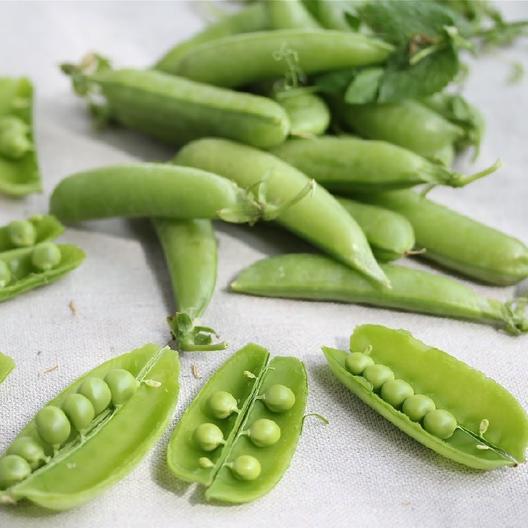 Dwarf White Sugar Snow Peas