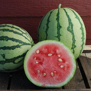 Dixie Queen Watermelon