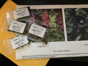 3 month Just the Seeds of the Month Gift subscription