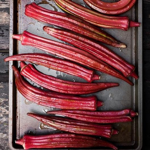 Red Burgundy Okra