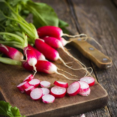 French Breakfast Radish