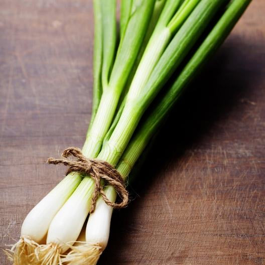 Evergreen White Nebuka Bunching Onion