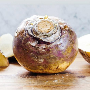 American Purple Top Rutabaga