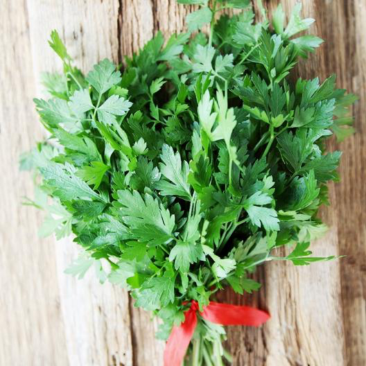 Italian Parsley