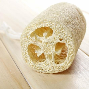 Luffa Gourd